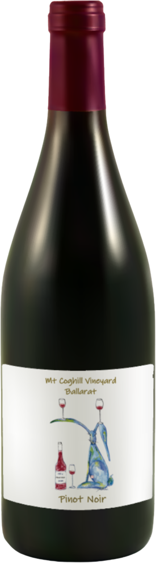 Mt. Coghill Vineyard Pinot Noir 2022 Ballarat